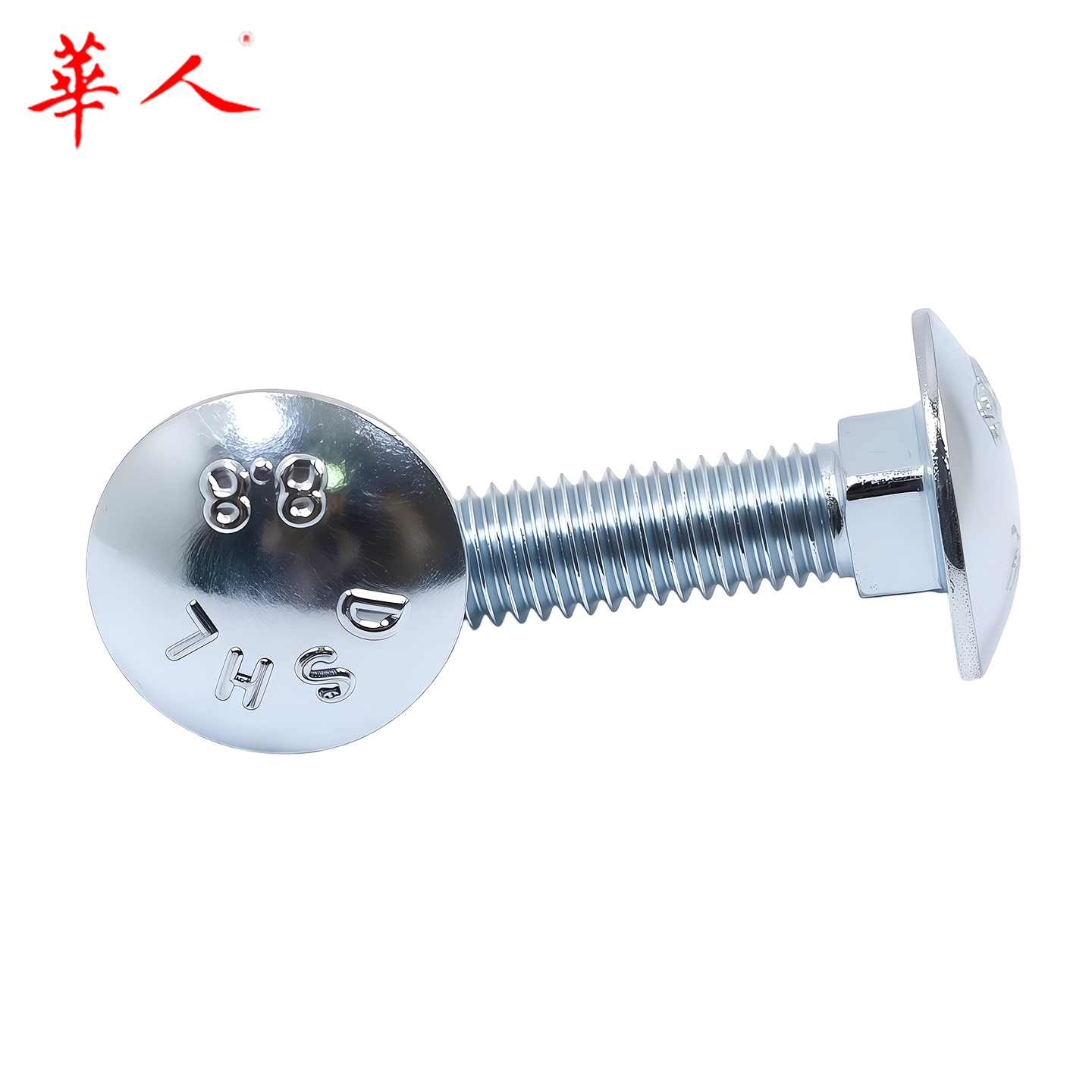 华人 8.8级镀锌环保马车螺栓 大半圆头方颈螺丝GB14 M8M10M12 - Image 6