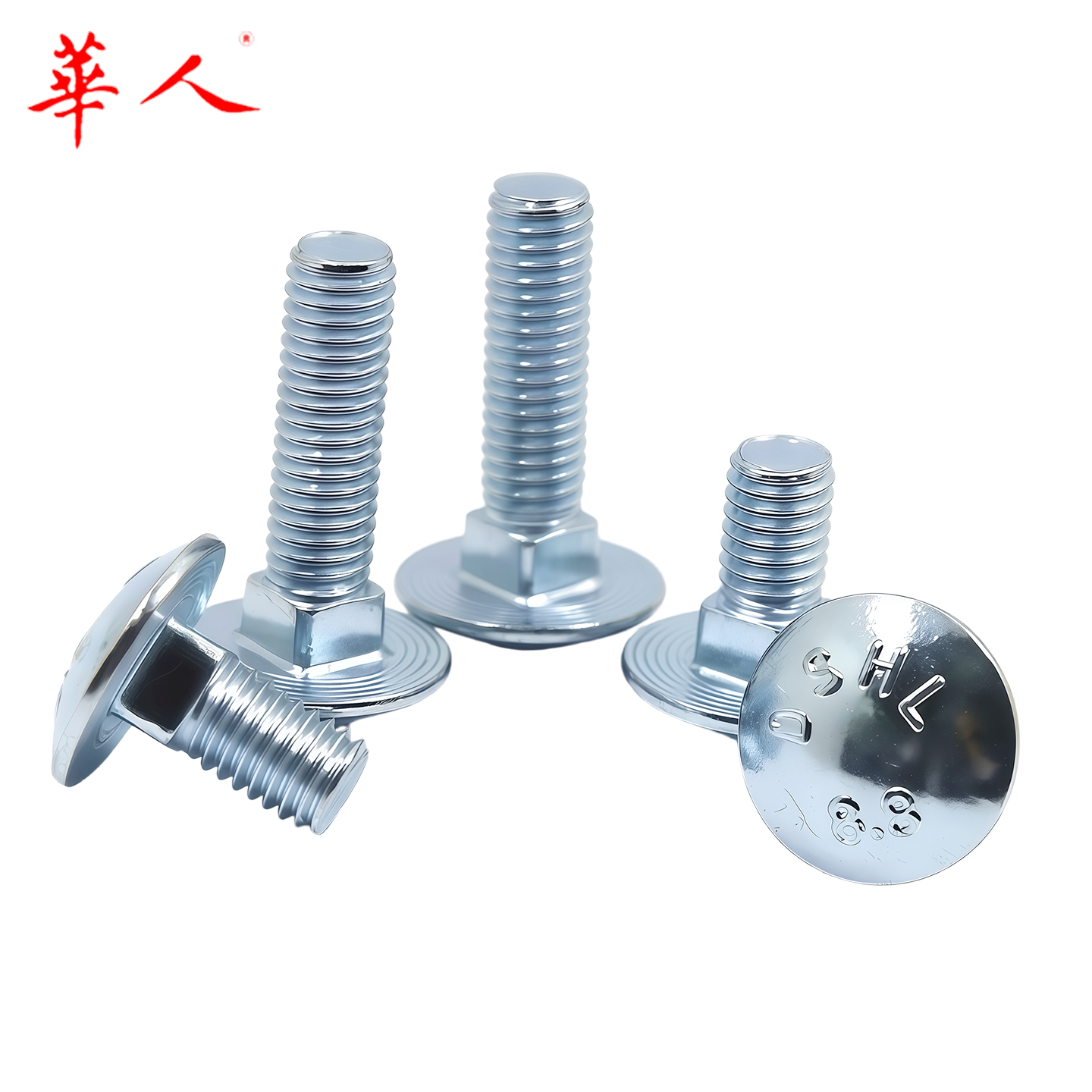 华人 8.8级镀锌环保马车螺栓 大半圆头方颈螺丝GB14 M8M10M12 - Image 3
